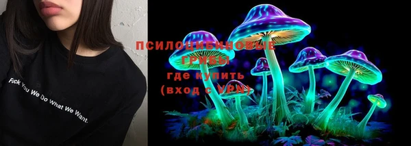 mix Дмитриев