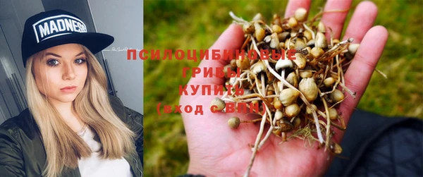 mix Дмитриев