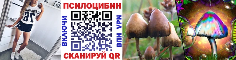 Галлюциногенные грибы прущие грибы Купить где Лабинск